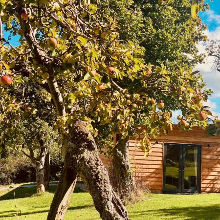 cabin with trees