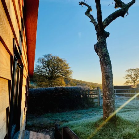 morning light