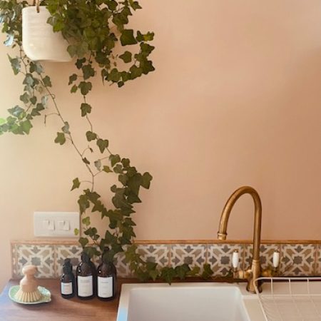 sink with plant